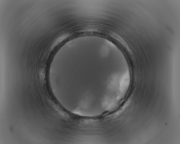 X0000111240826200907301304
