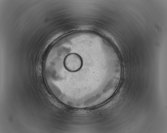 X0000111240827200907301304
