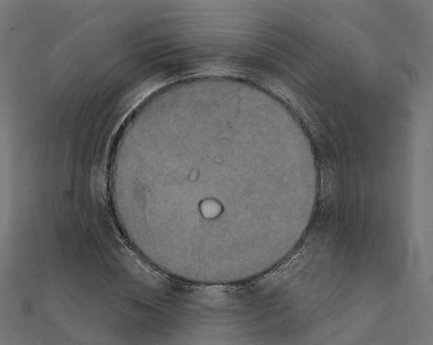 X0000111240828200907301304