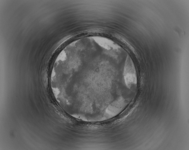 X0000111240829200907301304