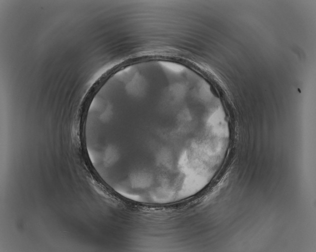 X0000111240830200907301304