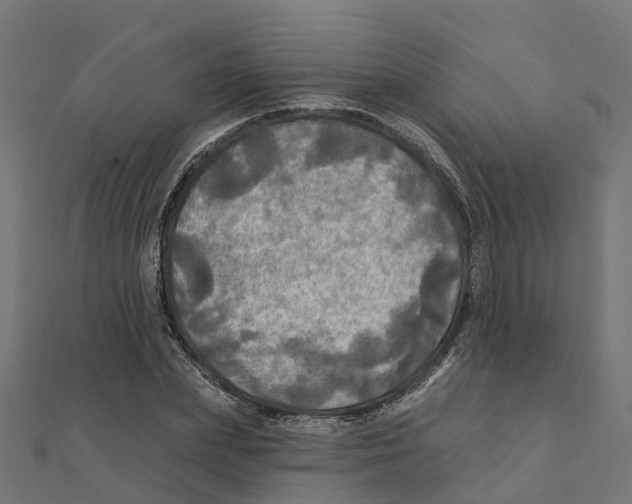 X0000111240831200907301305