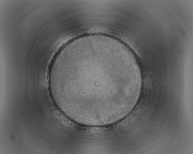 X0000111240832200907301305