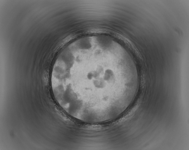X0000111240833200907301305