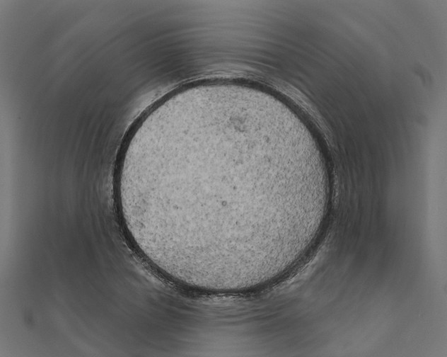 X0000111240834200907301305