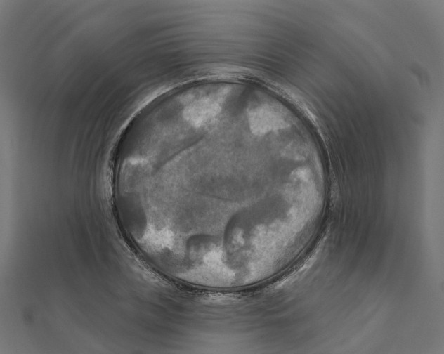X0000111240835200907301305