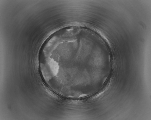 X0000111240837200907301305