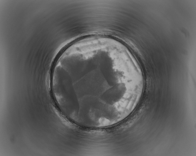 X0000111240838200907301305