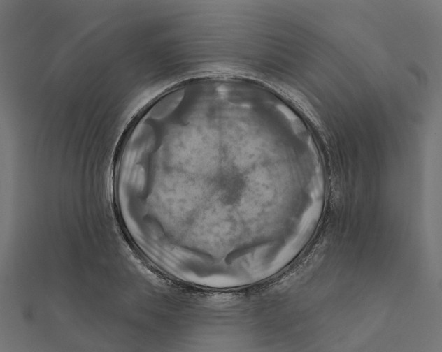 X0000111240839200907301305