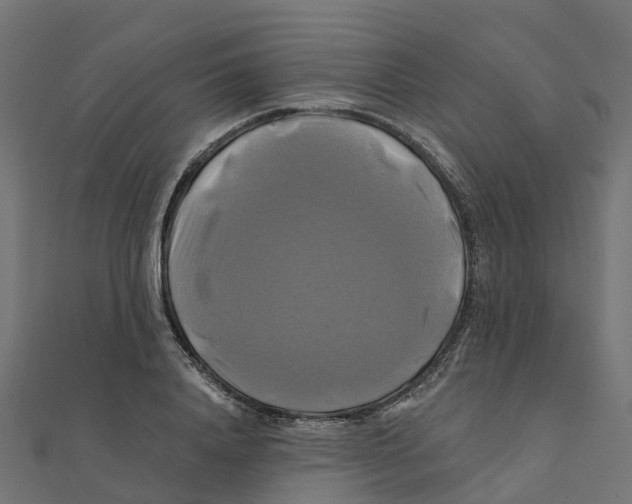 X0000111240840200907301305