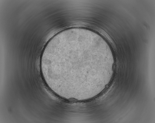 X0000111240842200907301305
