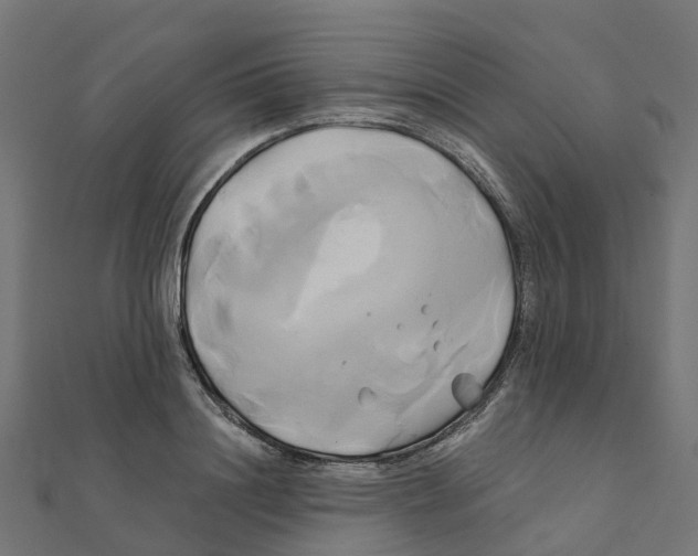 X0000111240844200907301305