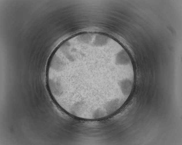 X0000111240845200907301305