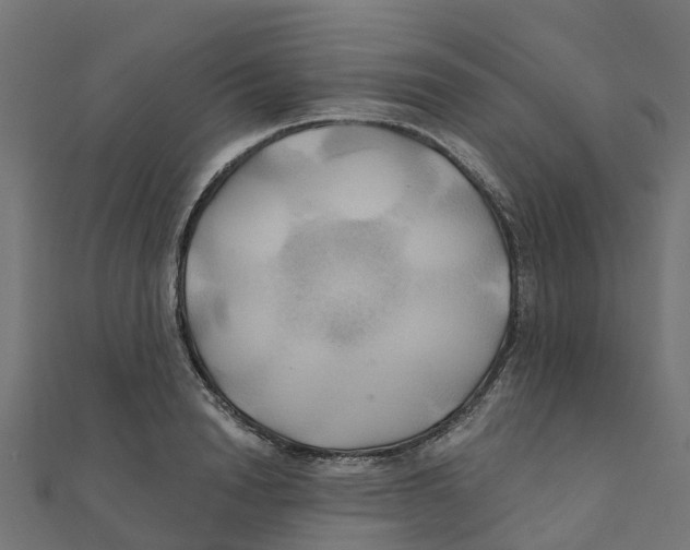 X0000111240846200907301305