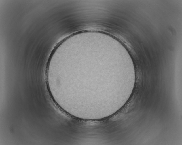 X0000111240848200907301305