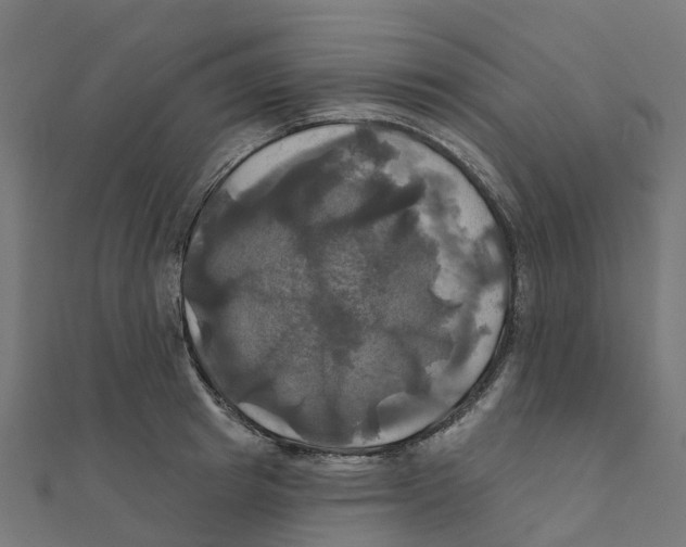 X0000111240849200907301305