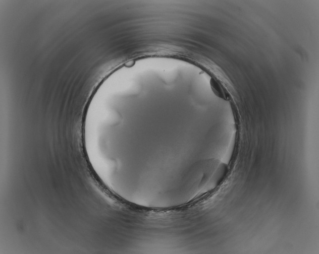 X0000111240850200907301305