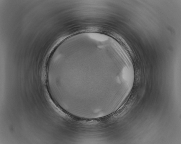 X0000111240851200907301305