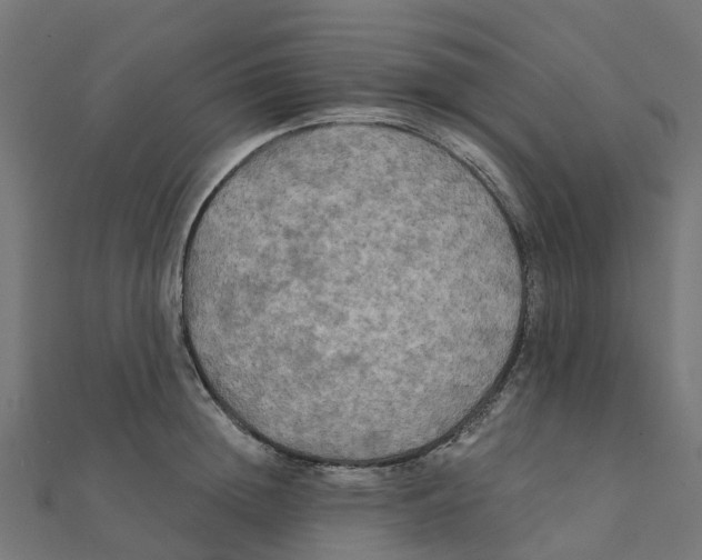 X0000111240852200907301305