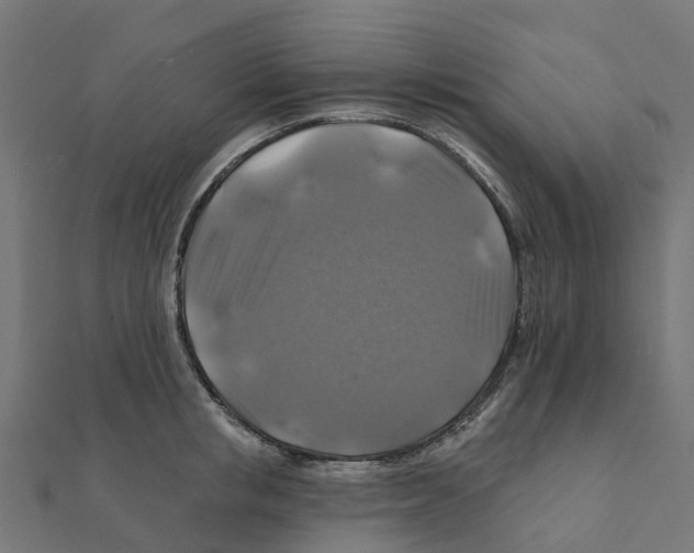 X0000111240853200907301305