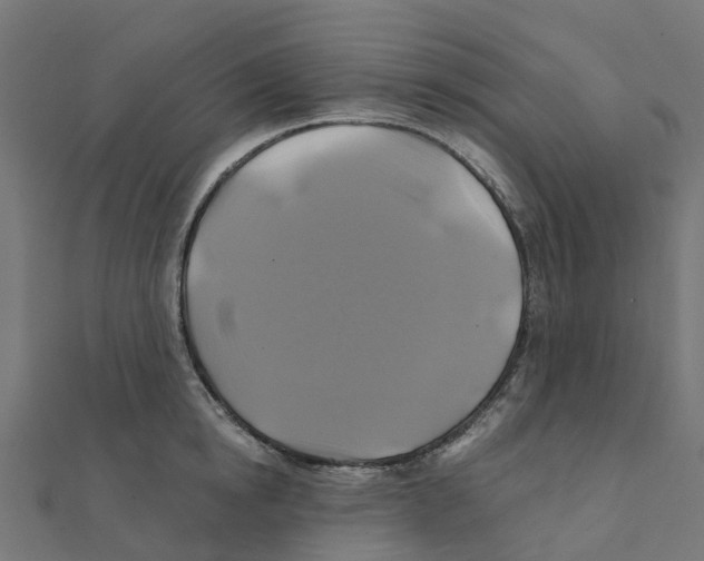 X0000111240854200907301305