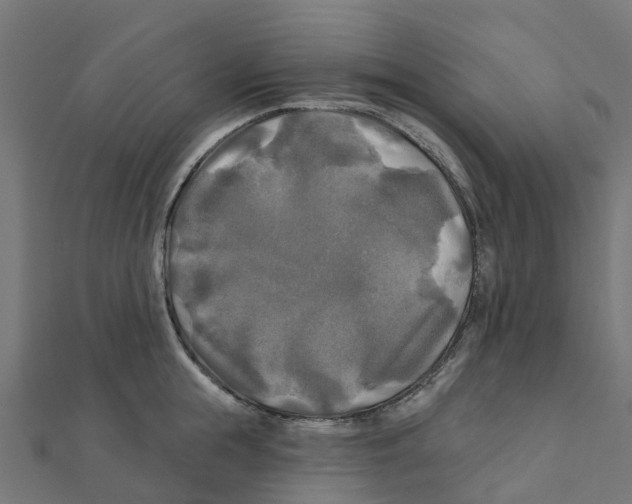 X0000111240855200907301305