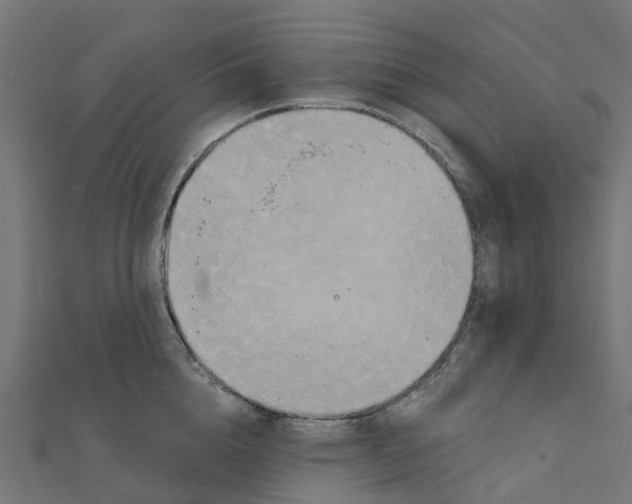 X0000111240856200907301305