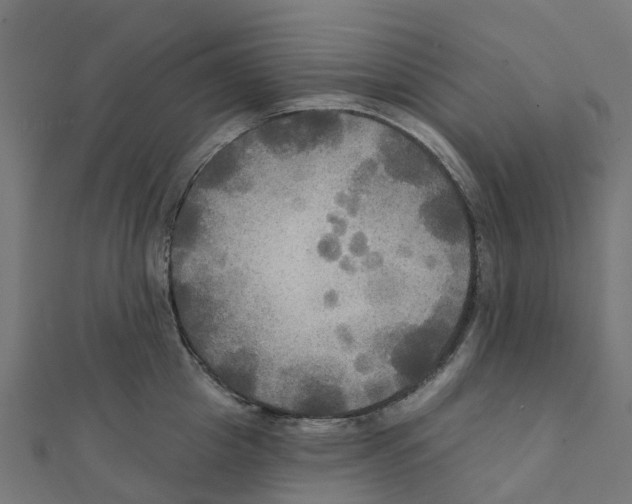 X0000111240857200907301305