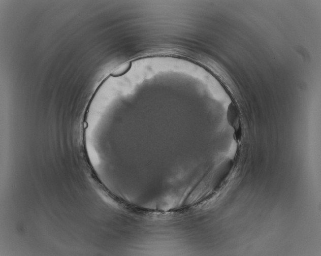 X0000111240858200907301305