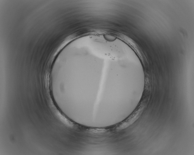 X0000111240859200907301305