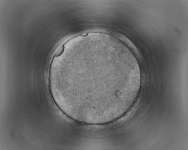 X0000111240860200907301305
