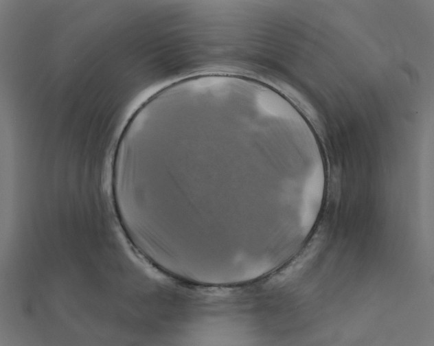 X0000111240862200907301305