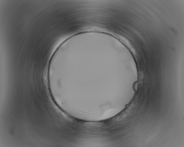 X0000111240863200907301305