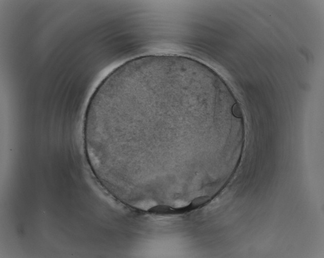 X0000111240864200907301305