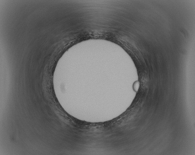 X0000111240865200907301304