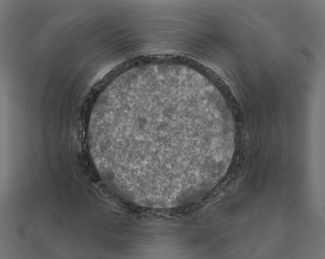 X0000111240871200907301304