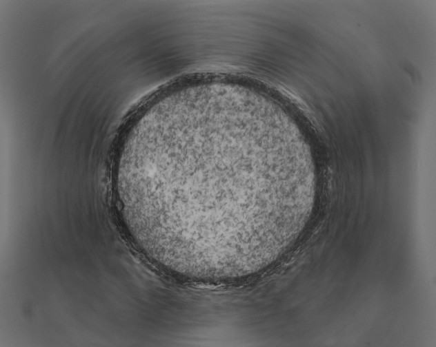 X0000111240872200907301304
