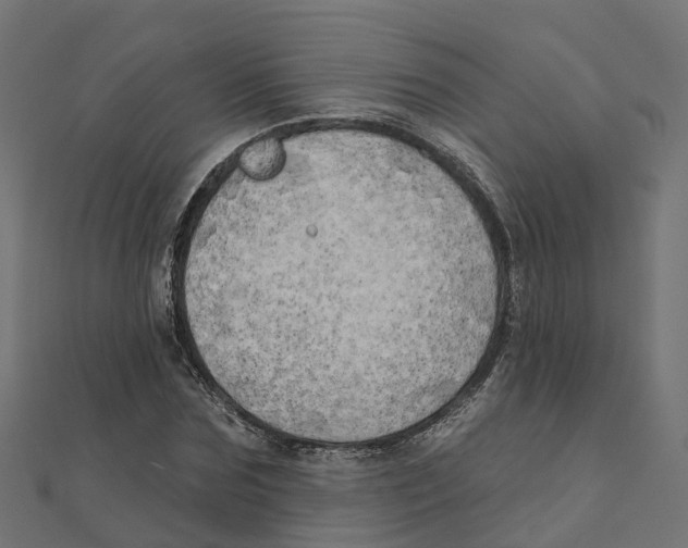 X0000111240875200907301304