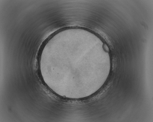 X0000111240876200907301304
