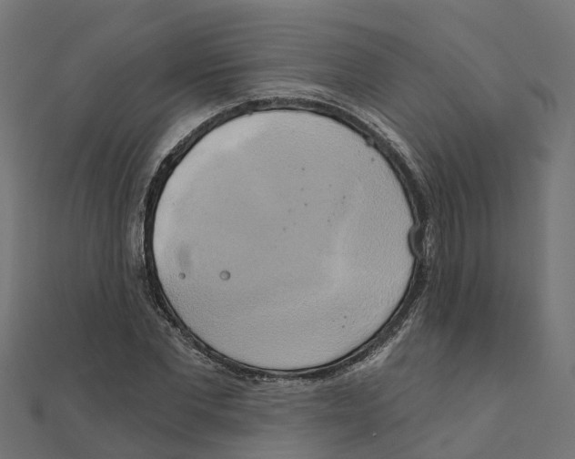 X0000111240877200907301304