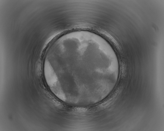 X0000111240878200907301304