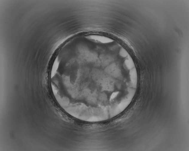 X0000111240879200907301304