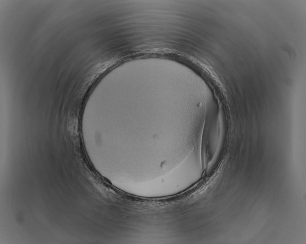 X0000111240881200907301304