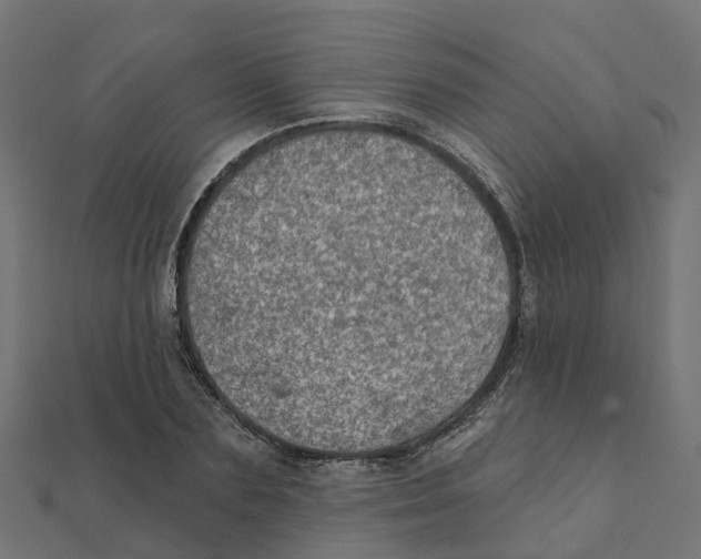X0000111240883200907301304