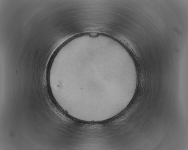 X0000111240884200907301304