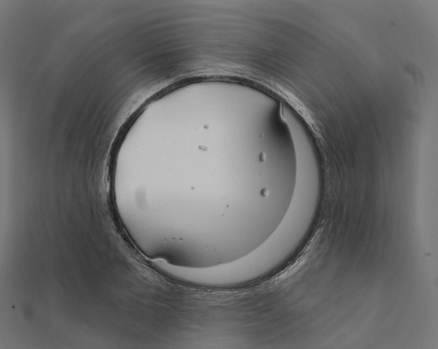 X0000111240885200907301304