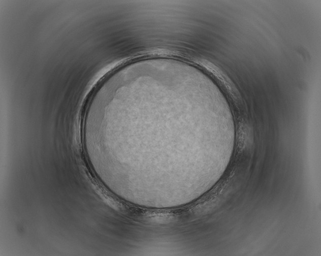 X0000111240886200907301304
