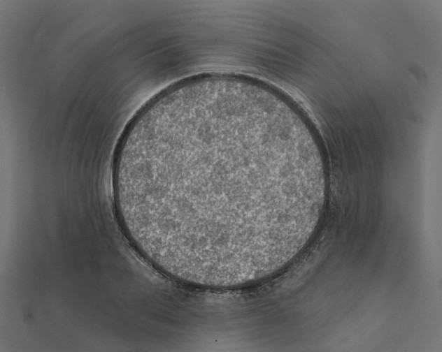 X0000111240887200907301304