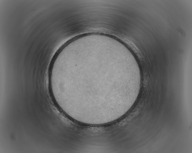 X0000111240888200907301304
