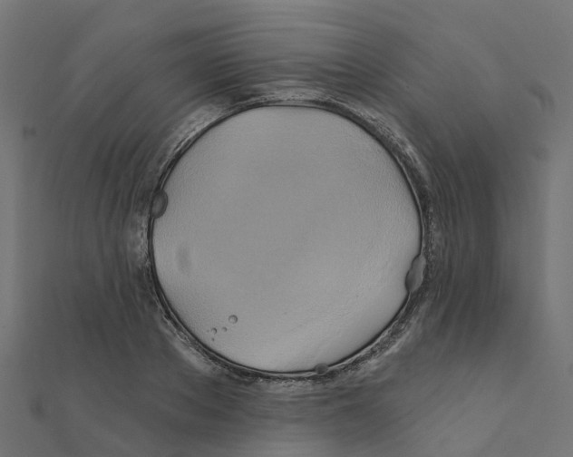 X0000111240889200907301304